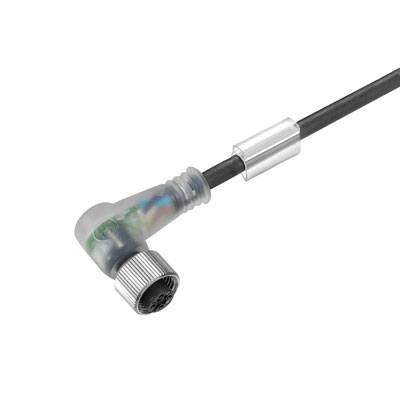 Un connecteur de câble coudé transparent avec un câble noir. La fiche révèle des fils internes multicolores.
