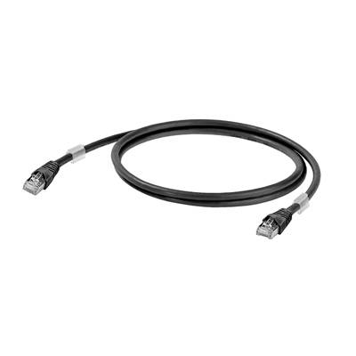 Câble Ethernet avec connecteurs noirs et gaines grises, sur fond blanc, symbolisant la connexion réseau.