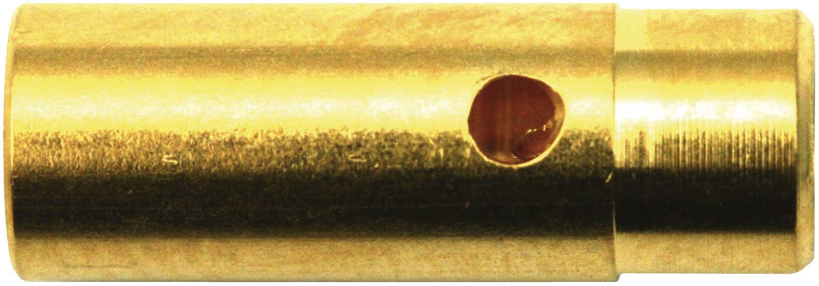 Fiche mâle et prise dorées, légères