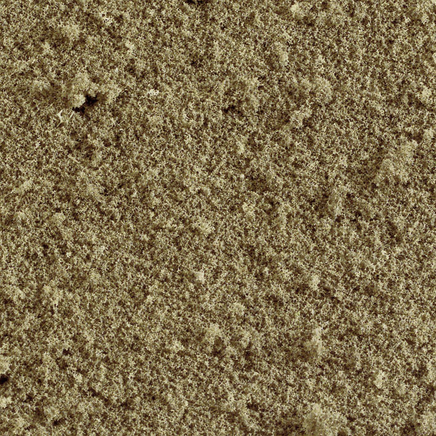 Gros plan sur une texture de tapis beige à la surface dense et uniforme. Les fibres sont étroitement entrelacées.