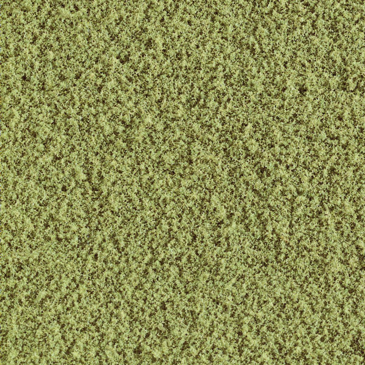 Gros plan sur une texture verte et granuleuse, rappelant la mousse.