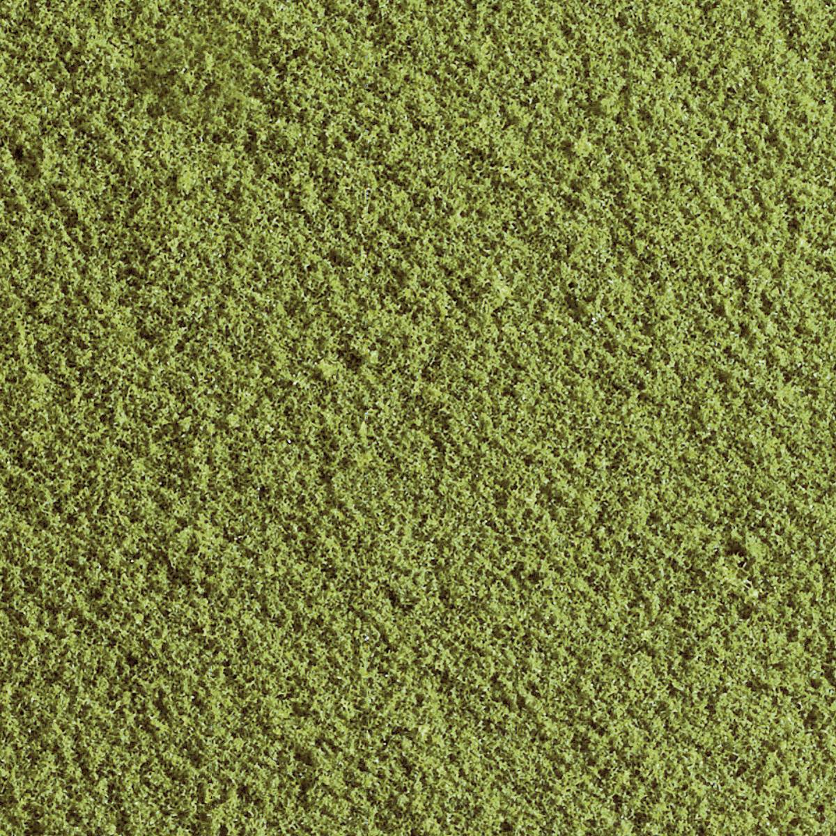Gros plan sur une surface verte recouverte de mousse, présentant une texture dense avec des reliefs et des creux irréguliers.