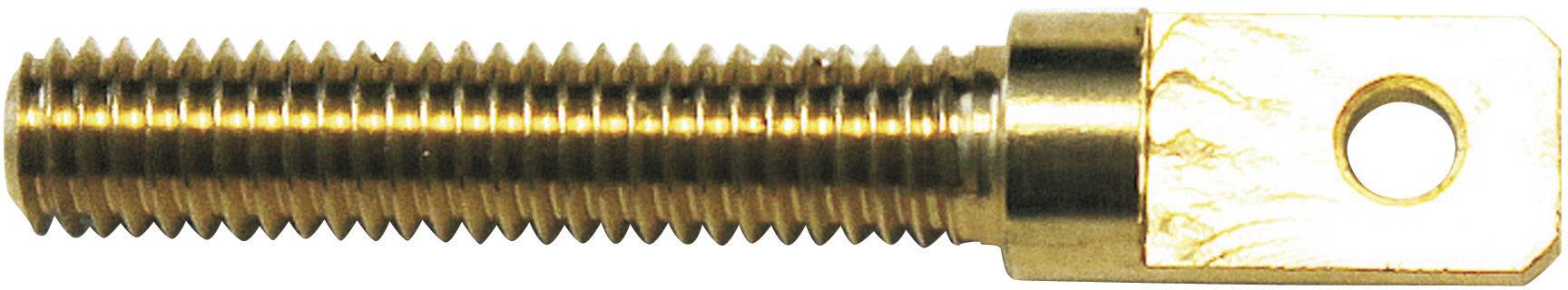 Piton à oeil avec filetage extérieur Modelcraft 11589/RM-30 M3 23 mm laiton 4 pc(s)