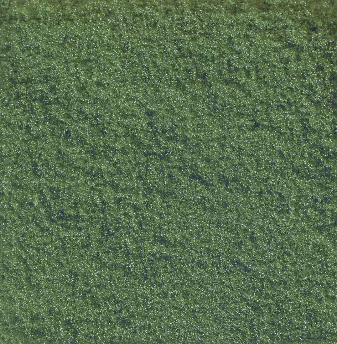 Vue aérienne d'une forêt dense et verdoyante aux couronnes d'arbres régulièrement réparties.
