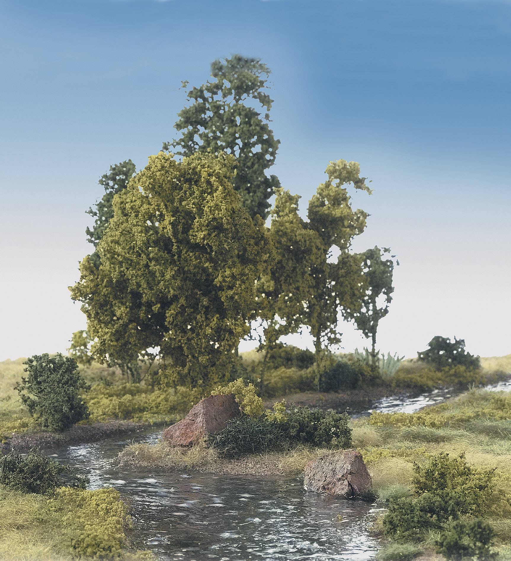 Un petit paysage avec un ruisseau, entouré d'arbres et d'arbustes sous un ciel bleu.