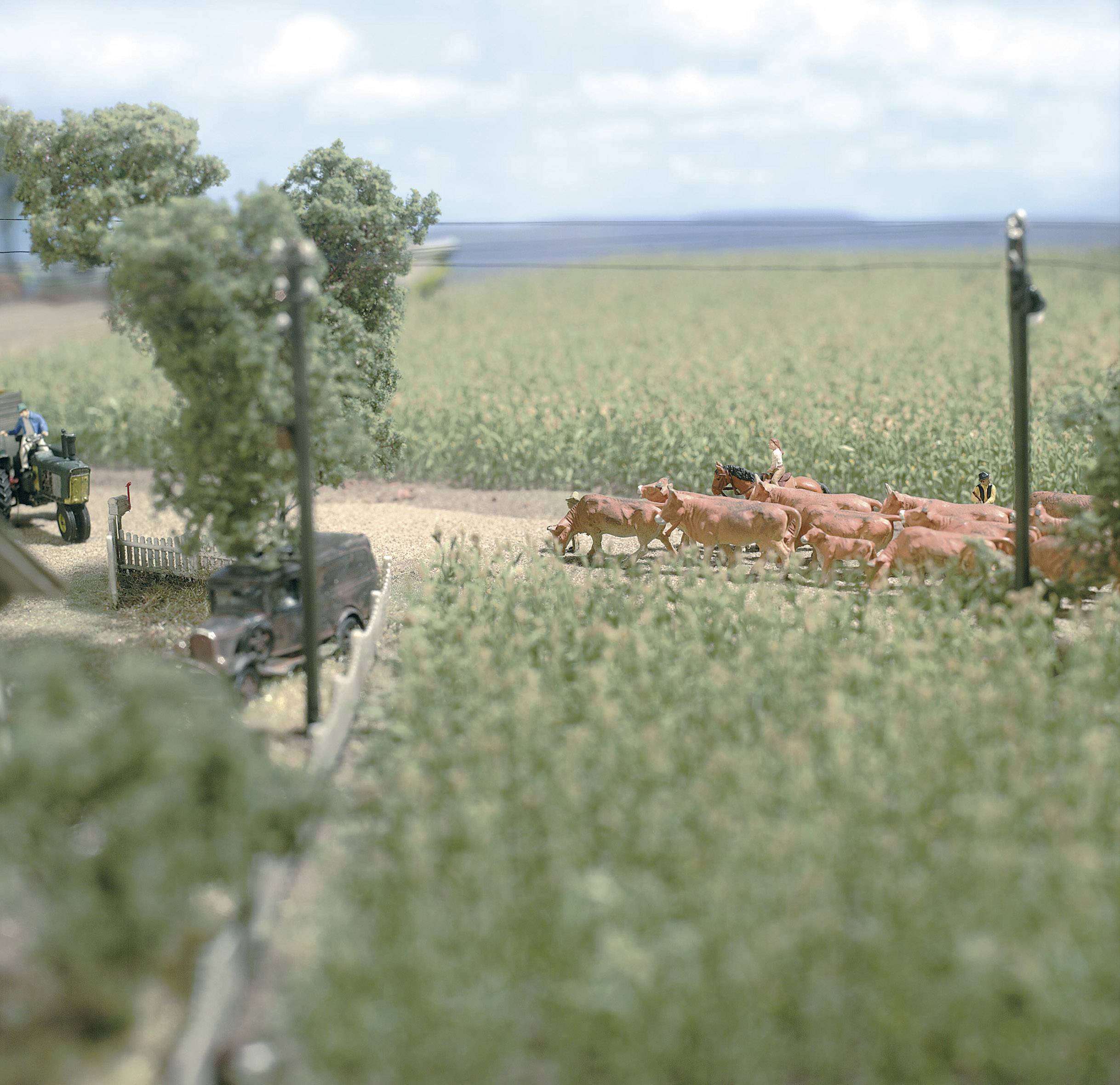 Une miniature représente un tracteur sur un chemin de terre à côté d'un groupe de vaches dans un champ, entouré d'arbres et de végétation.