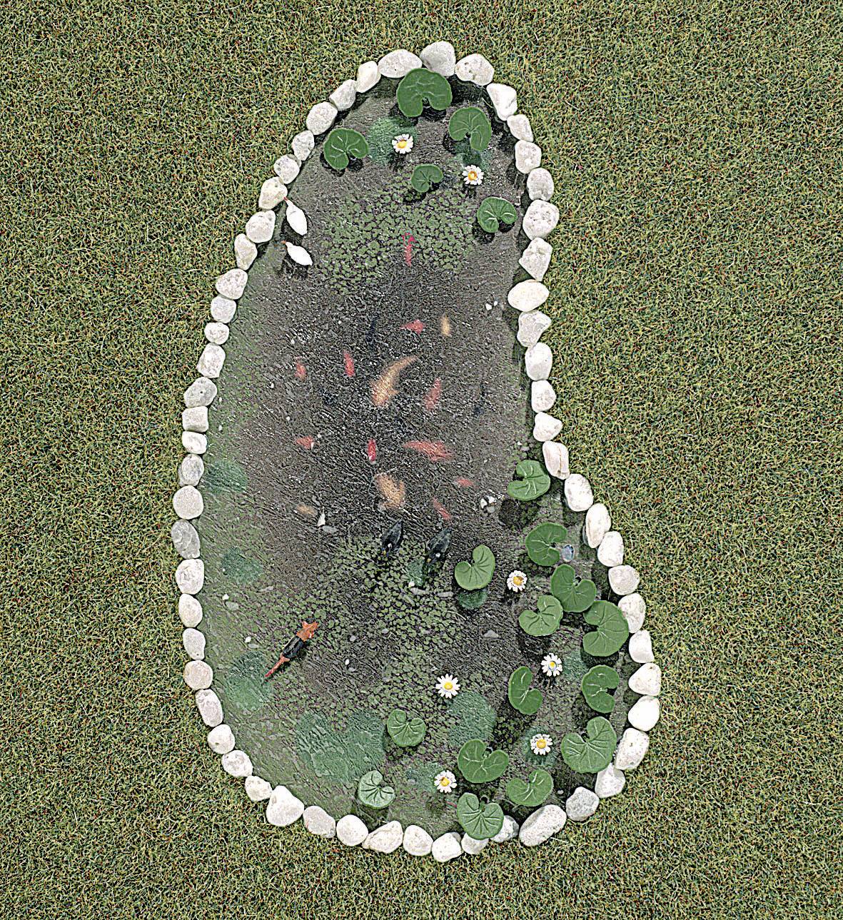 Petit étang avec des pierres blanches sur ses bords, entouré d'espaces verts. Dans l'eau nagent plusieurs poissons colorés parmi les nénuphars.