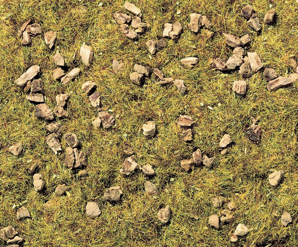 Herbage à répandre pré de montagne pierreux NOCH 8360 vert moyen 20 g