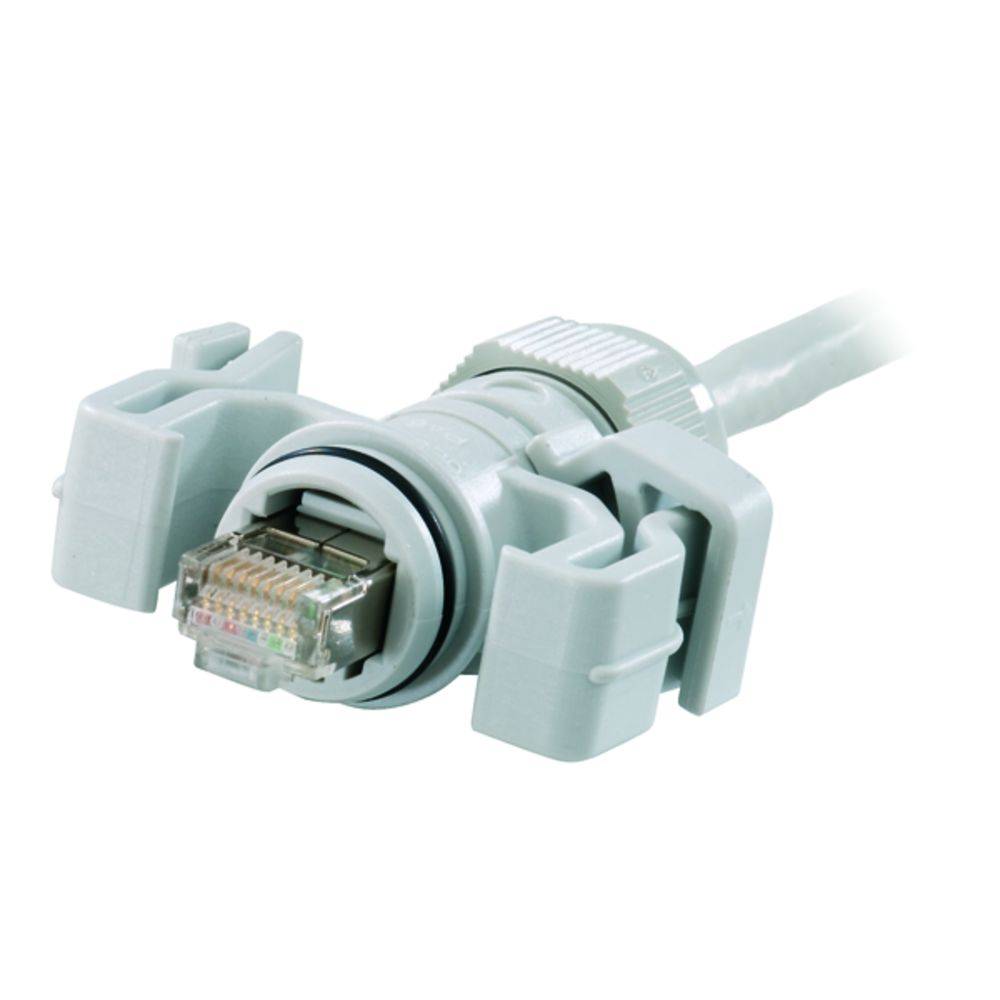 Connexion de câble Ethernet avec supports en plastique, insérés dans une interface réseau.
