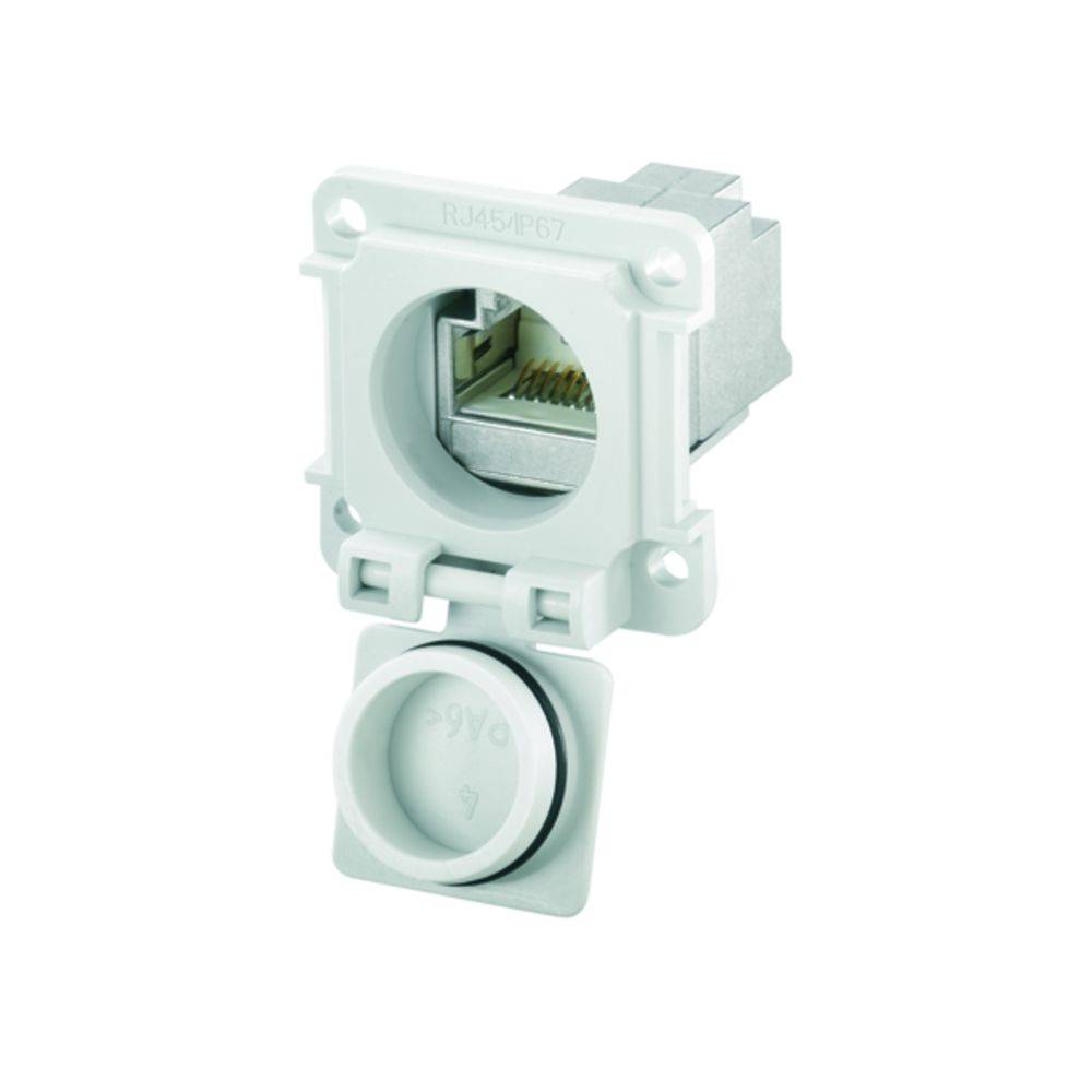Vue avant d'une connexion réseau RJ45 avec un capuchon blanc.