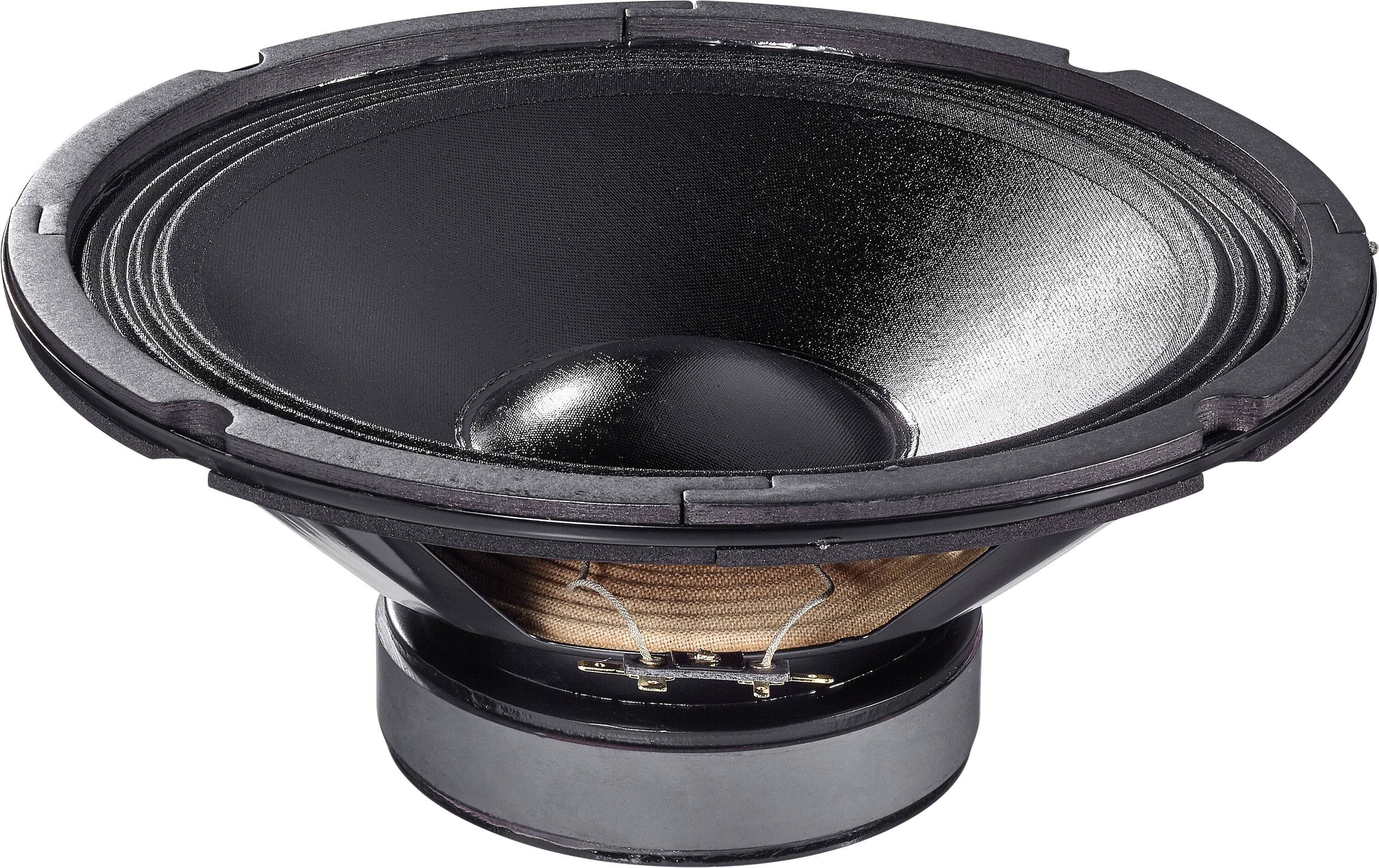 Haut-parleur 10" Renkforce CPA PA-10 N/A