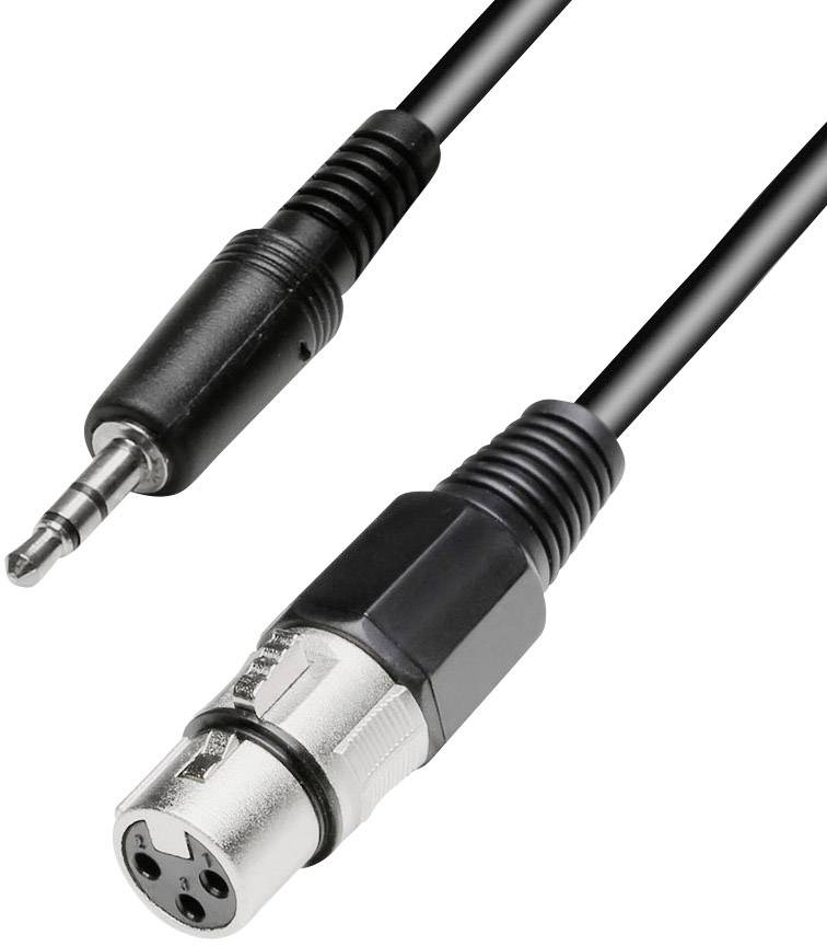 Paccs XLR Câble adaptateur [1x XLR femelle - 1x Jack mâle 3.5 mm] 3.00 m noir