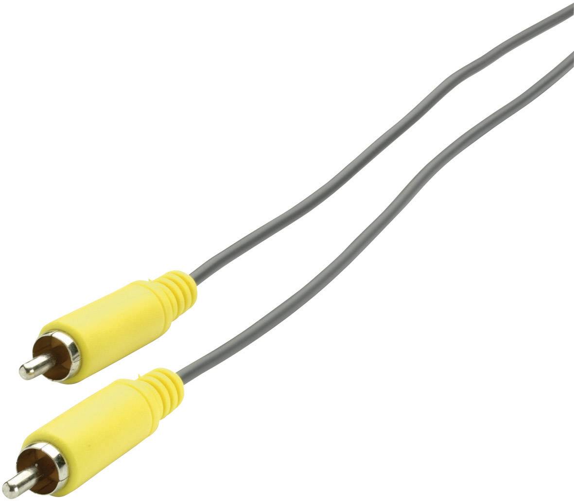 Câble de raccordement SpeaKa Professional SP-1300788 [1x Cinch-RCA mâle - 1x Cinch-RCA mâle] 3.00 m jaune, gris