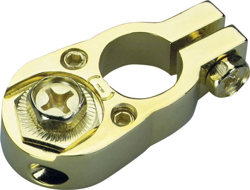 Bornes polaires de batterie Sinuslive BK 1- (L x l) 55 x 30 mm 1 pc(s)