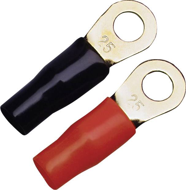 Cosses de câble à oeillet 25 mm² Sinus Live Sinuslive RKS 25 P 4