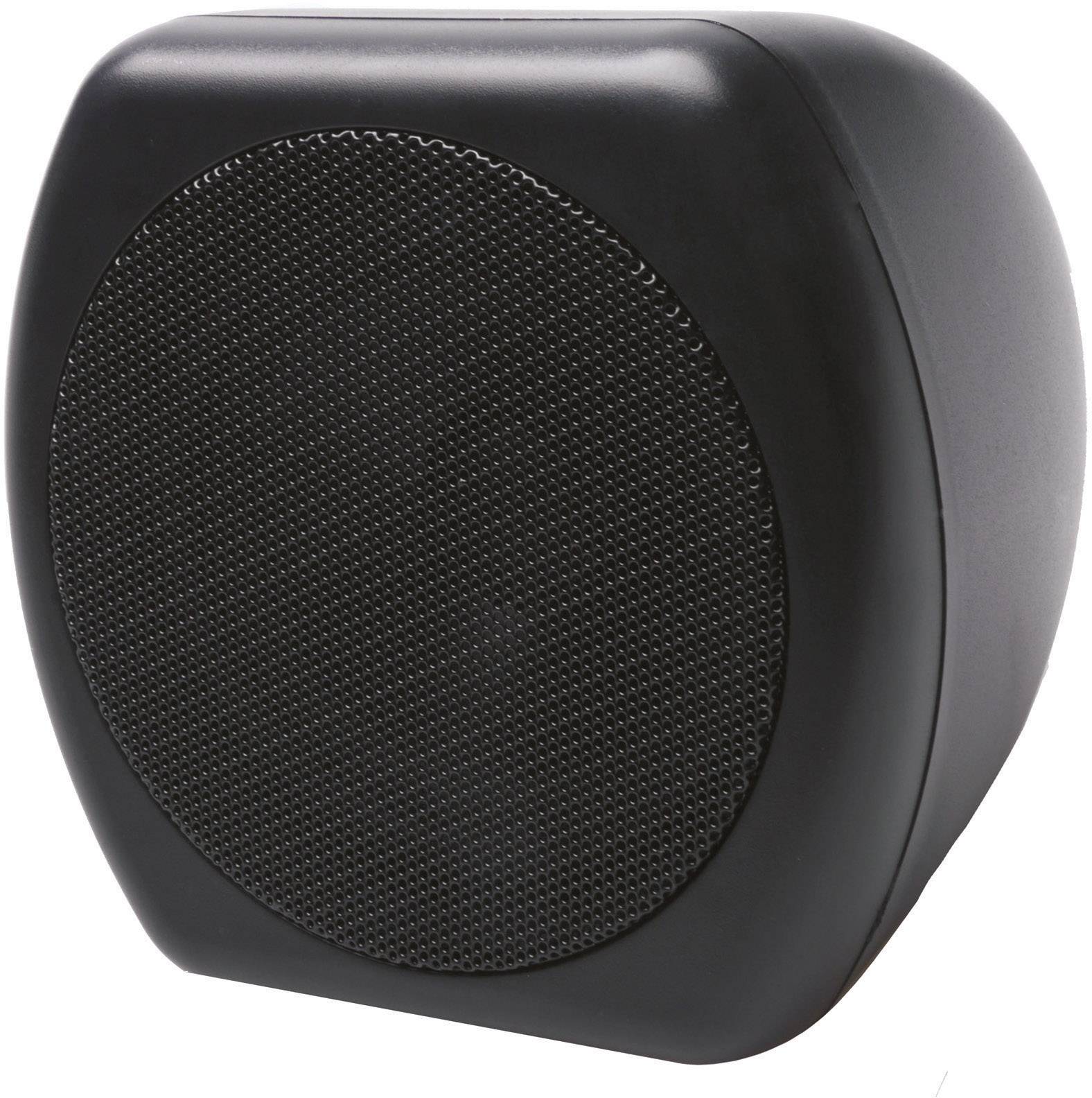 Enceinte à large bande 100 W Sinustec UB-1000 1 paire(s)