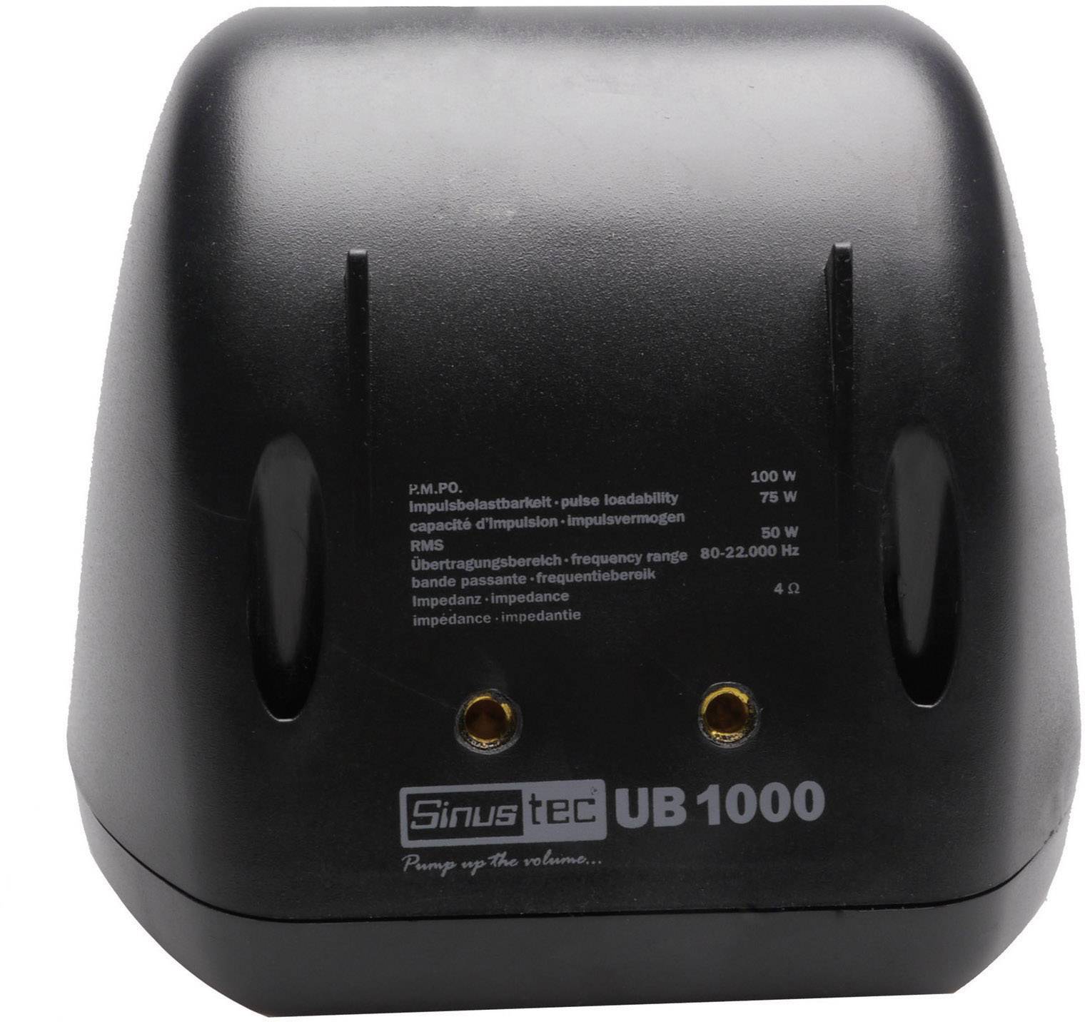 Enceinte à large bande 100 W Sinustec UB-1000 1 paire(s)