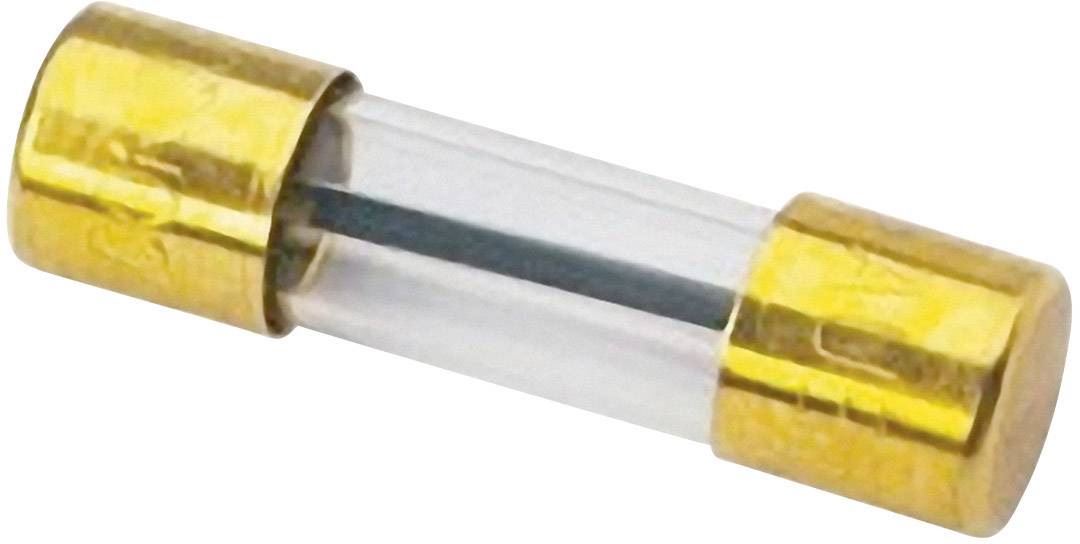 Un petit fusible en verre avec des embouts dorés, utilisé pour protéger les appareils électriques contre les surintensités.