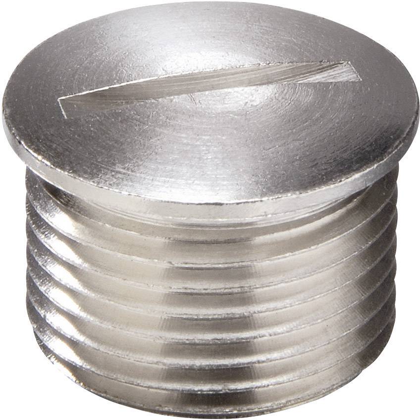 Vis en métal à tête plate avec fente pour tournevis, en gros plan.