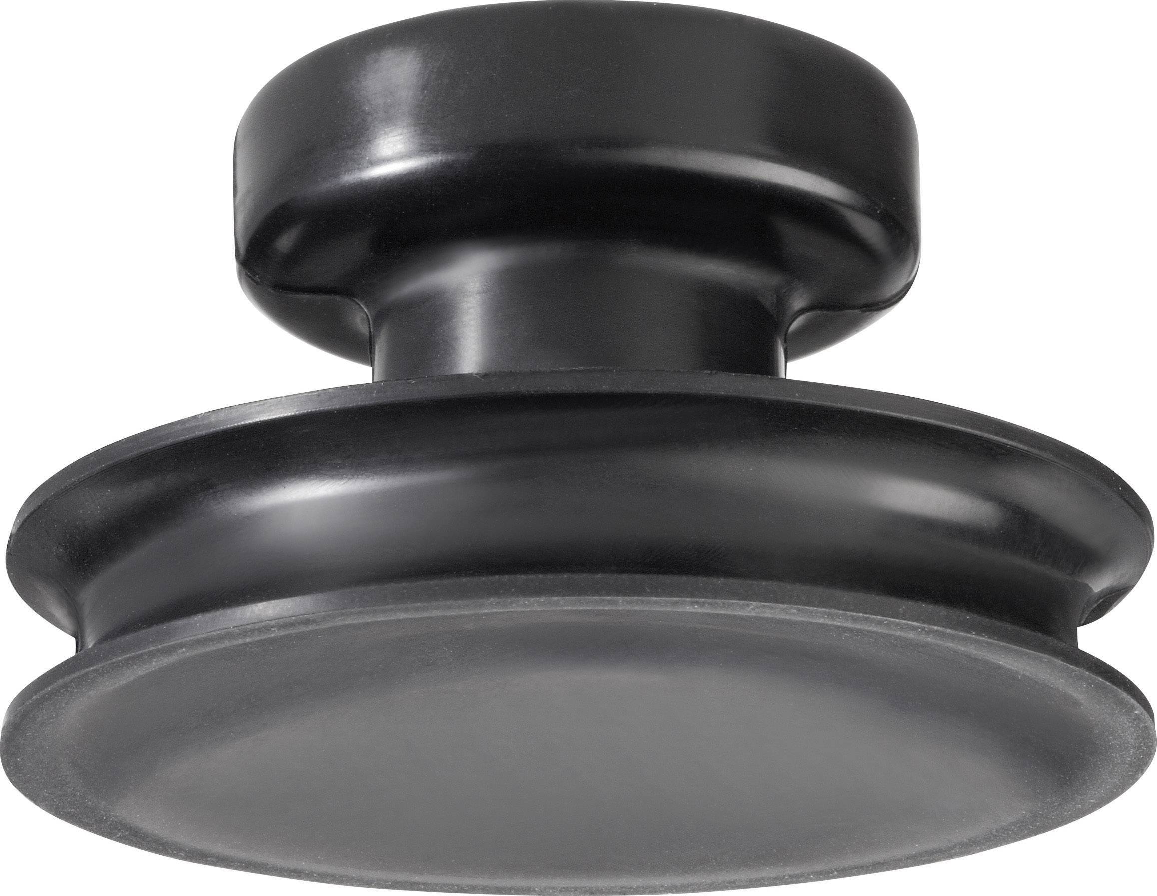 Ventouse max : 15 kg TOOLCRAFT