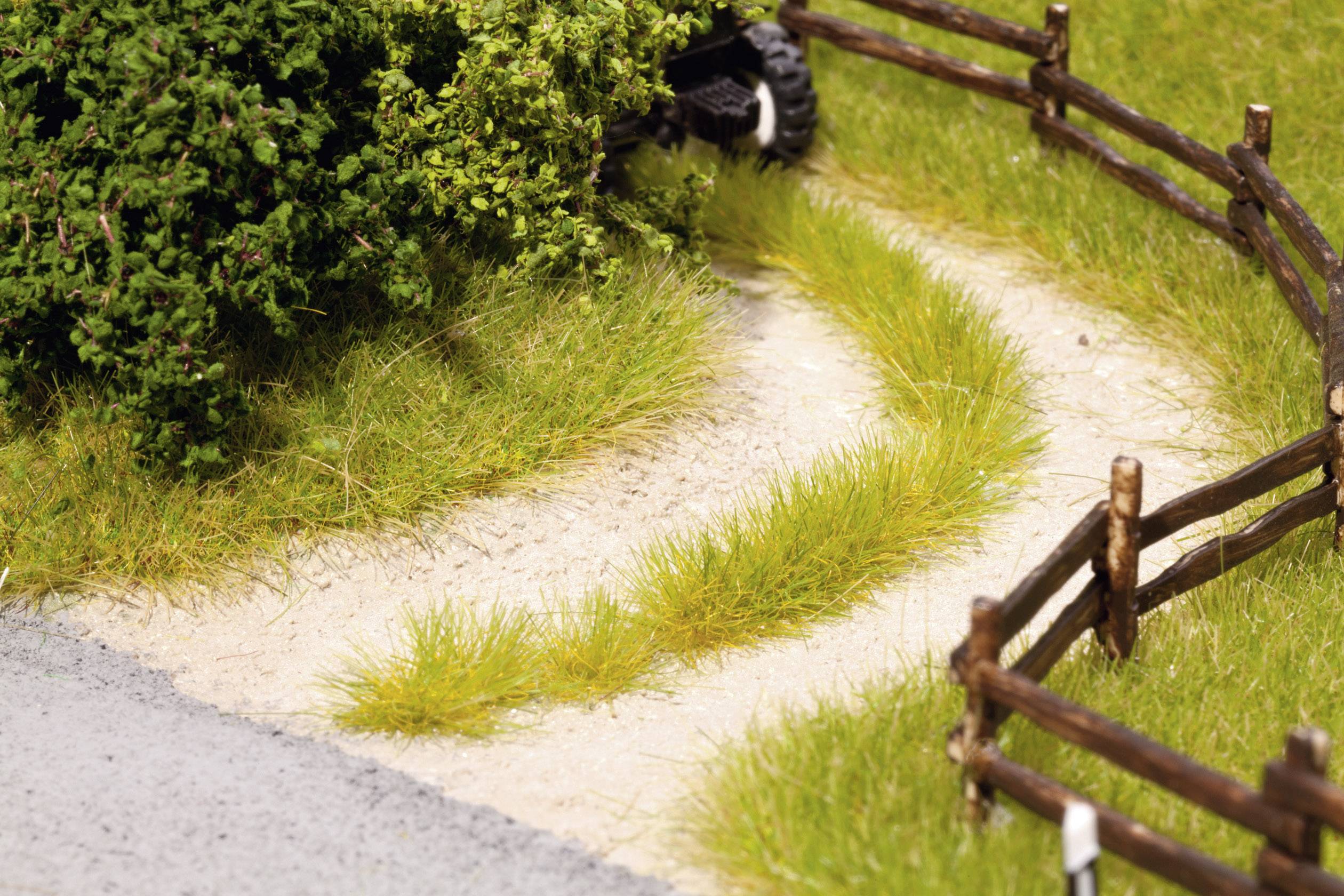 Un chemin étroit et sablonneux traverse entre deux clôtures en bois en direction d'un grand buisson vert. Des herbes poussent le long du chemin.