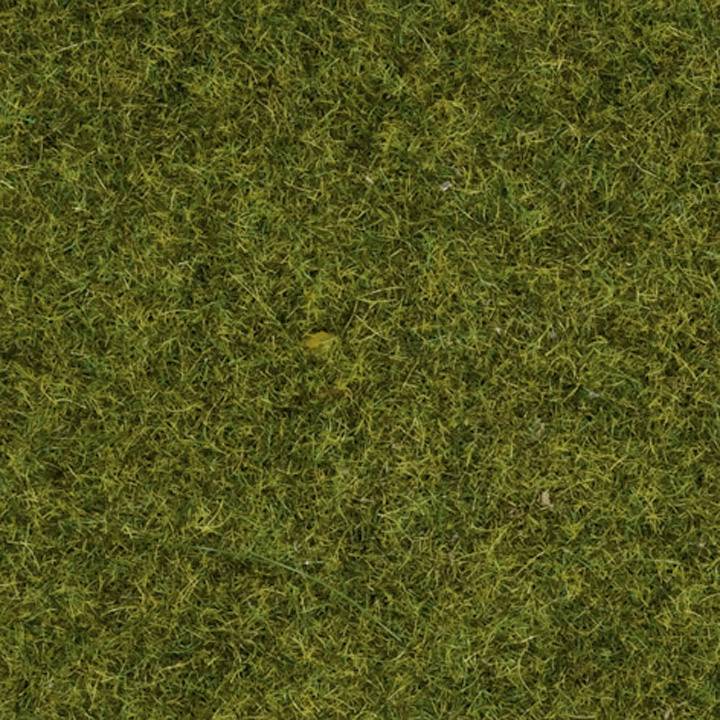 Gros plan sur une surface d'herbe verte, uniformément et densément poussée, sans irrégularités visibles ou autres éléments.