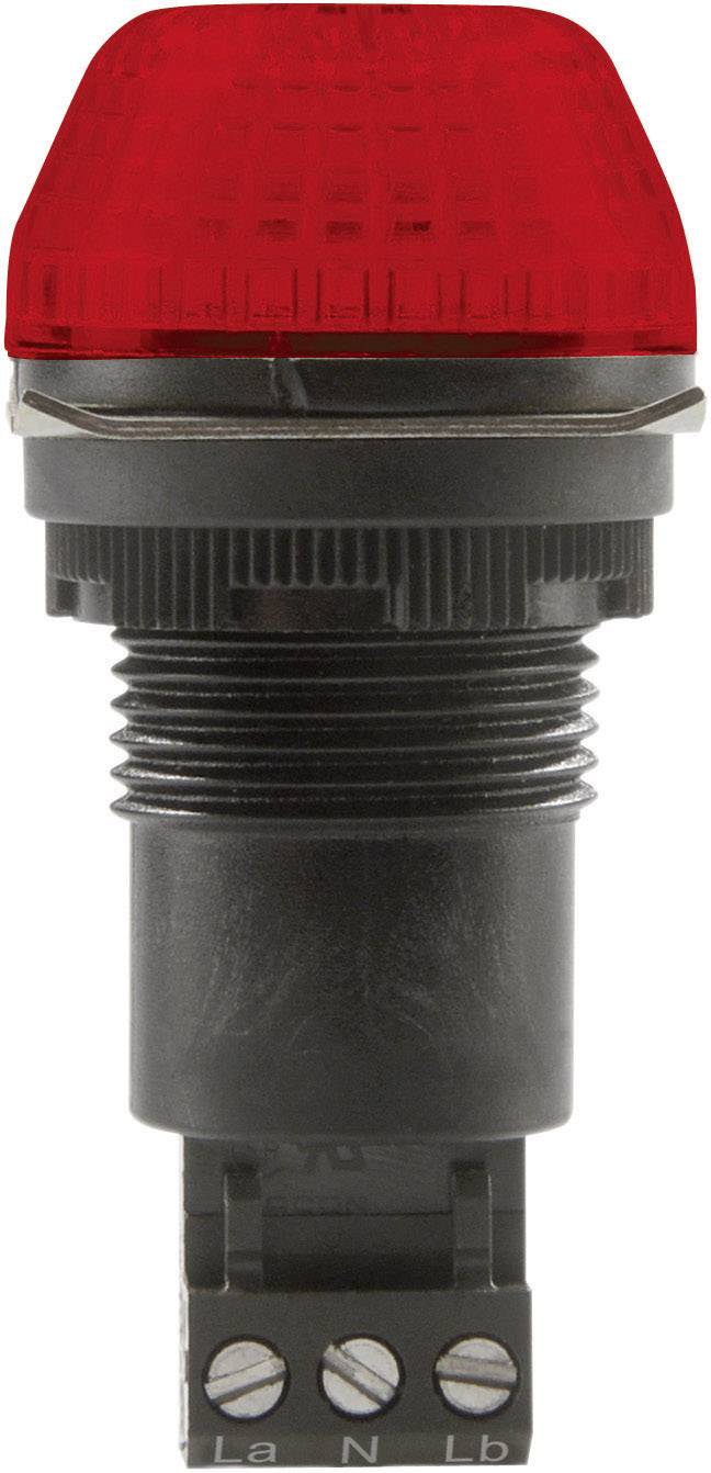 Avertisseur optique LED Auer Signalgeräte 800502313 230 - 240 V/AC lumière permanente, feu clignotant IP65/67 1 pc(s)