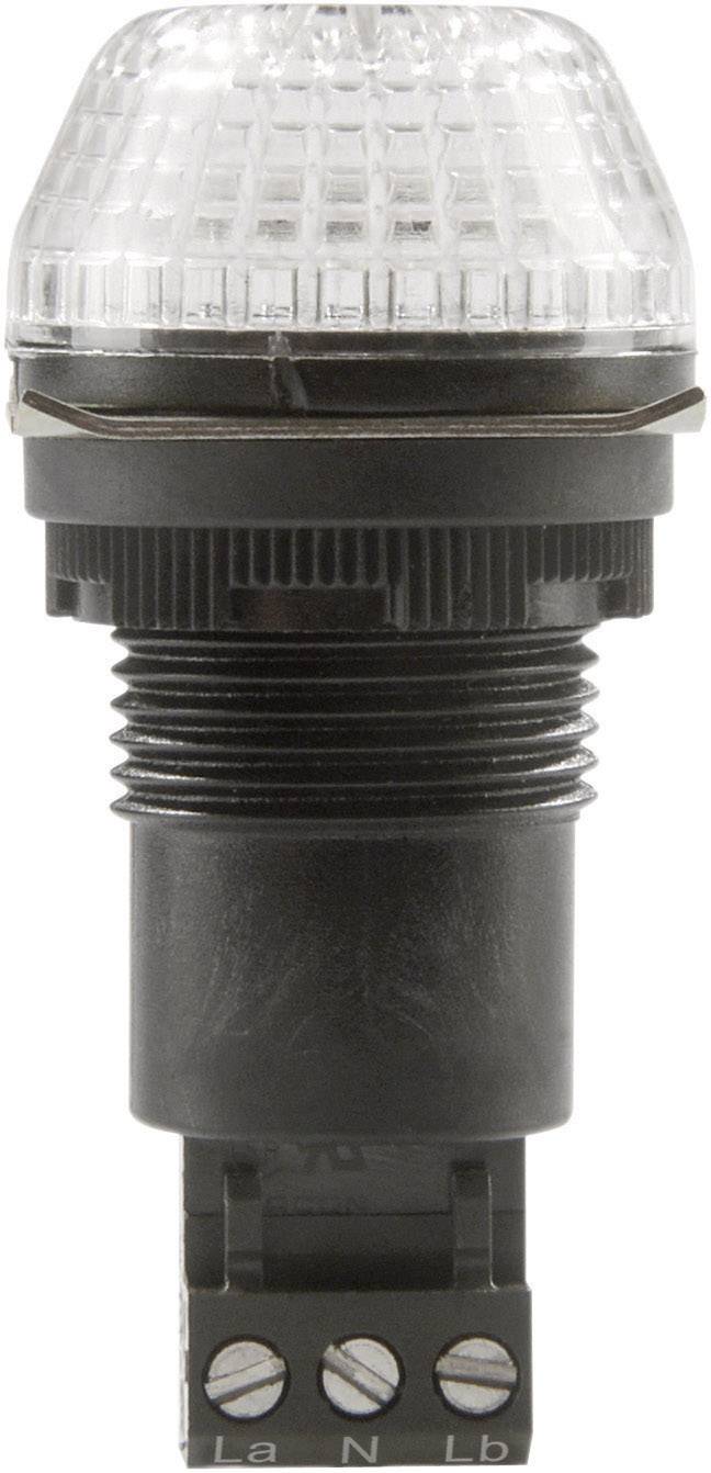 Avertisseur optique LED Auer Signalgeräte 800504313 230 - 240 V/AC lumière permanente, feu clignotant IP65/67 1 pc(s)