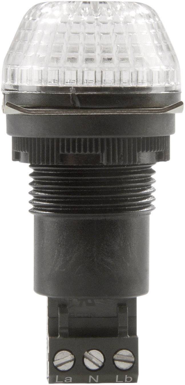 Avertisseur optique LED Auer Signalgeräte 800504405 24 V AC/DC lumière permanente, feu clignotant IP65/67 1 pc(s)