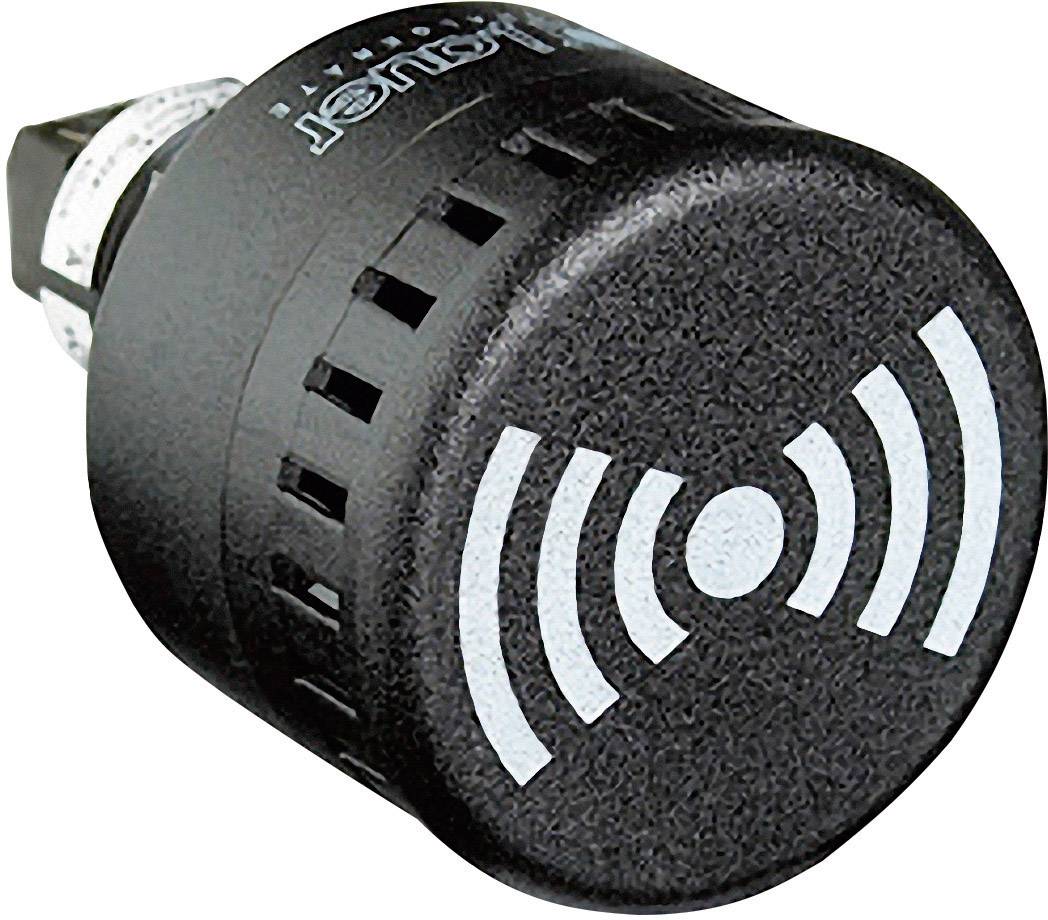 Auer Signalgeräte Ronfleur 813500313 ESM tonalité continue, tonalité à impulsion 230 V/AC 65 dB
