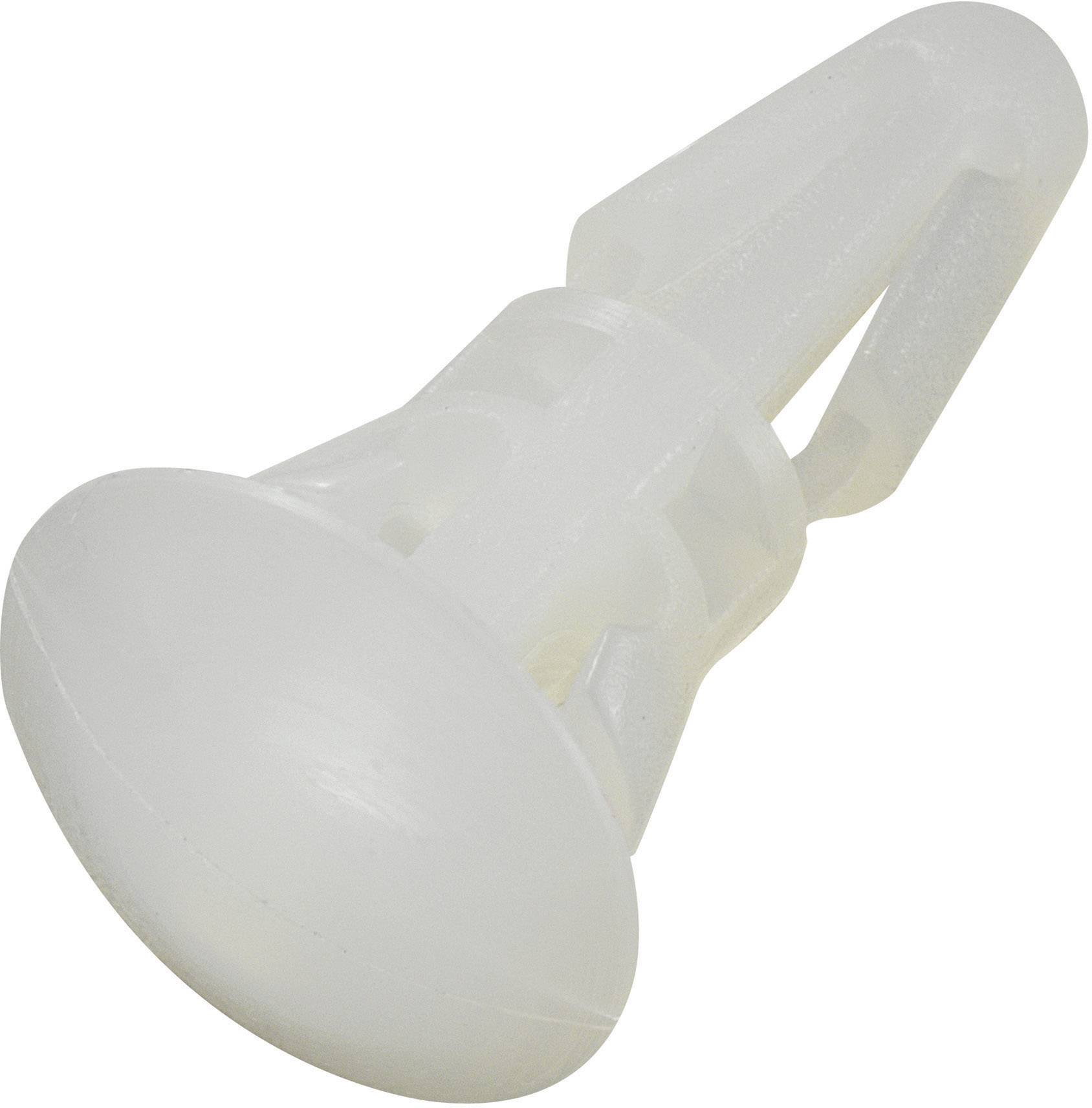 Chevilles en plastique blanc pour la fixation d'objets dans les murs.