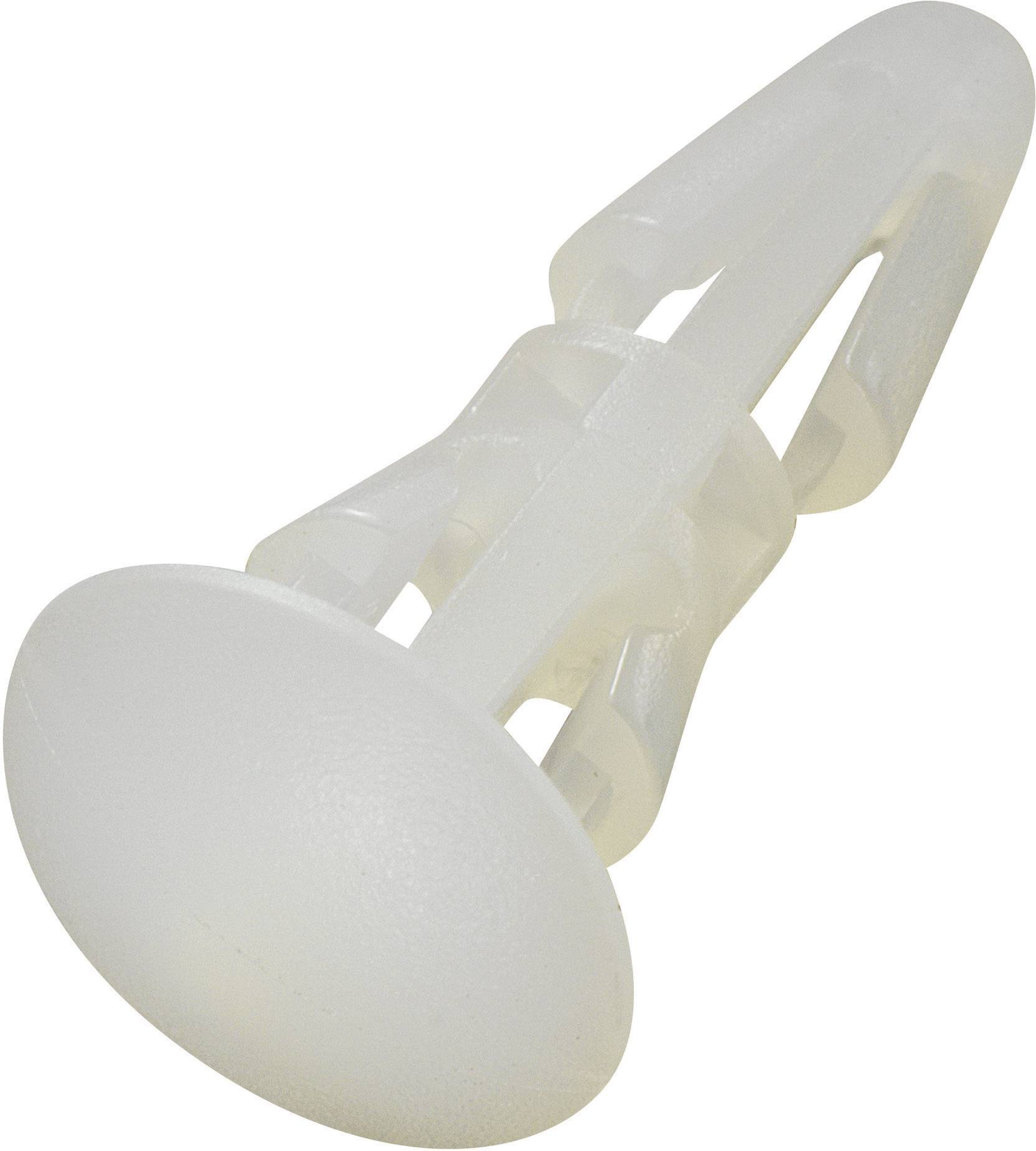 Un cheville en plastique blanc avec une tête ronde et une structure rainurée, utilisée pour fixer des vis dans les murs.