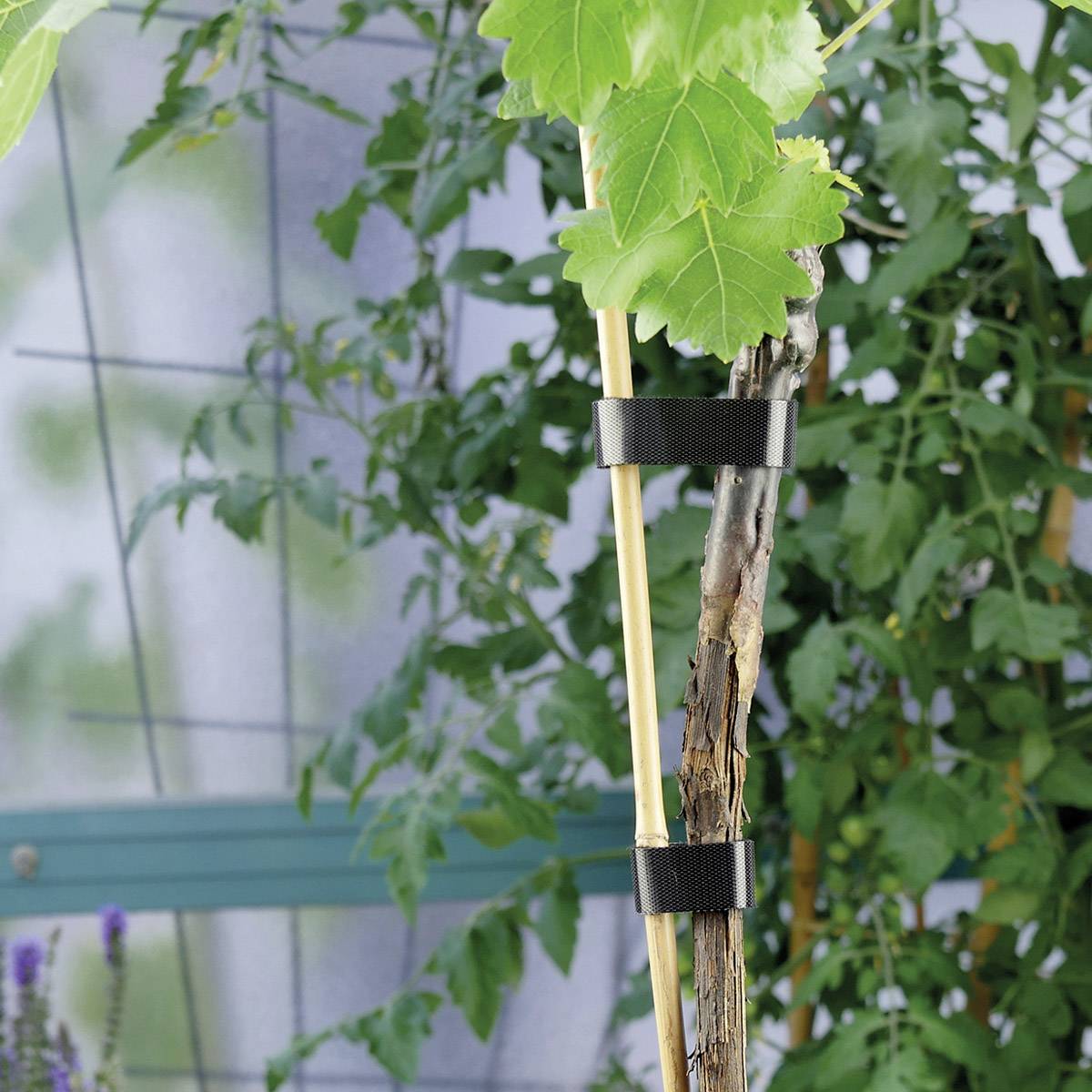 Label the Cable LTC 1210 (L x l) 3000 mm x 16 mm noir 1 pc(s)