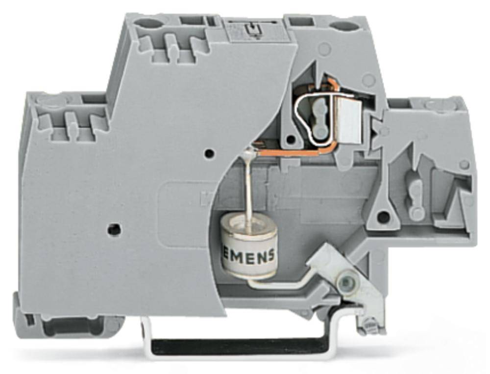 Borne d'extrémité WAGO 280-503/281-581 10 mm ressort de traction Affectation: L gris 50 pc(s)