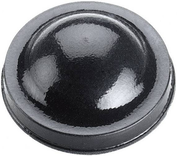 Un bouclier noir circulaire unique à la forme bombée et à la surface brillante sur un fond blanc.