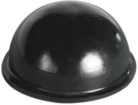 Objet noir et bombé à surface lisse. Brille légèrement à la lumière.