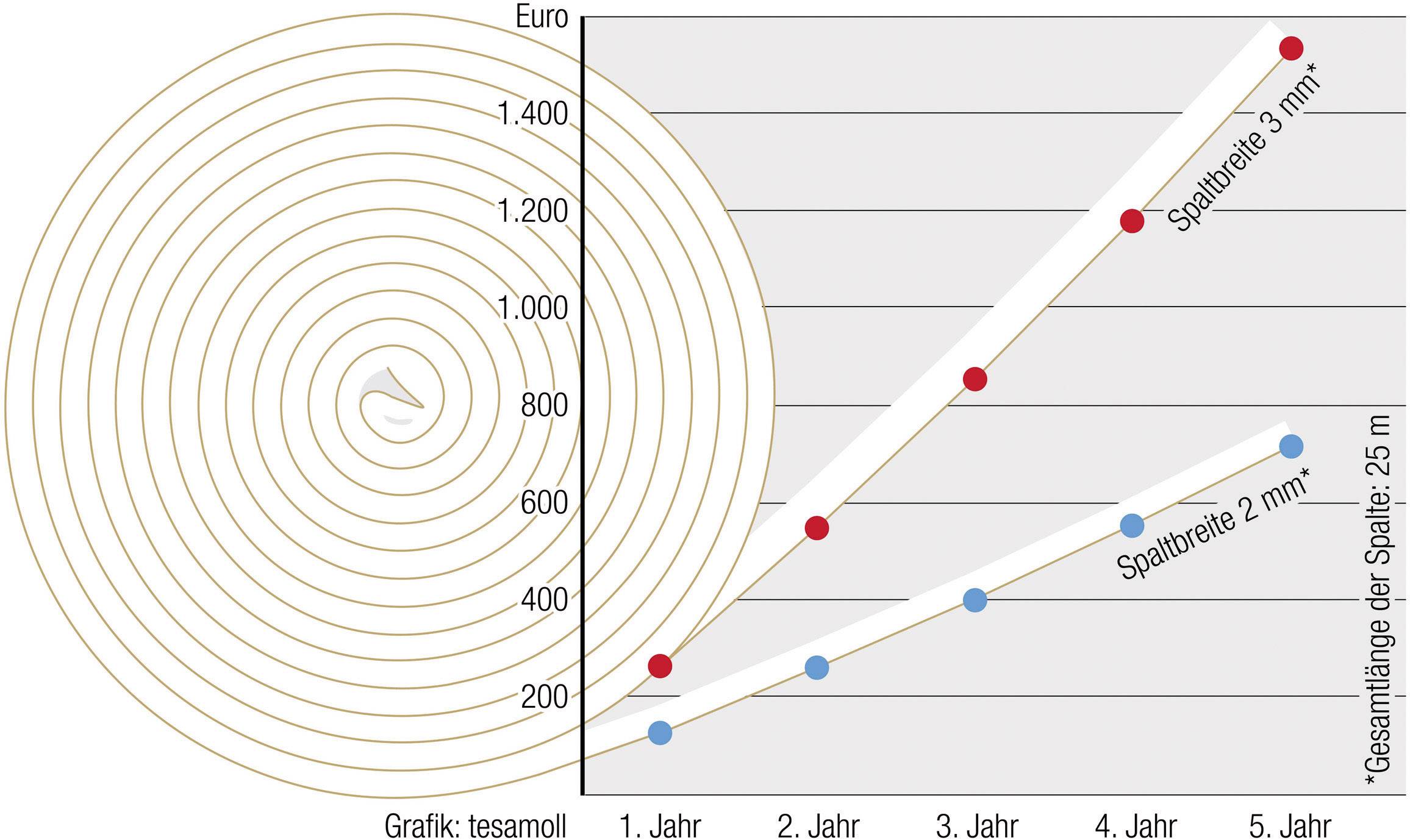 Le diagramme montre l'augmentation annuelle des coûts en euros pour deux largeurs de joint sur cinq ans. Un joint de 3 mm coûte nettement plus cher qu'un joint de 2 mm.
