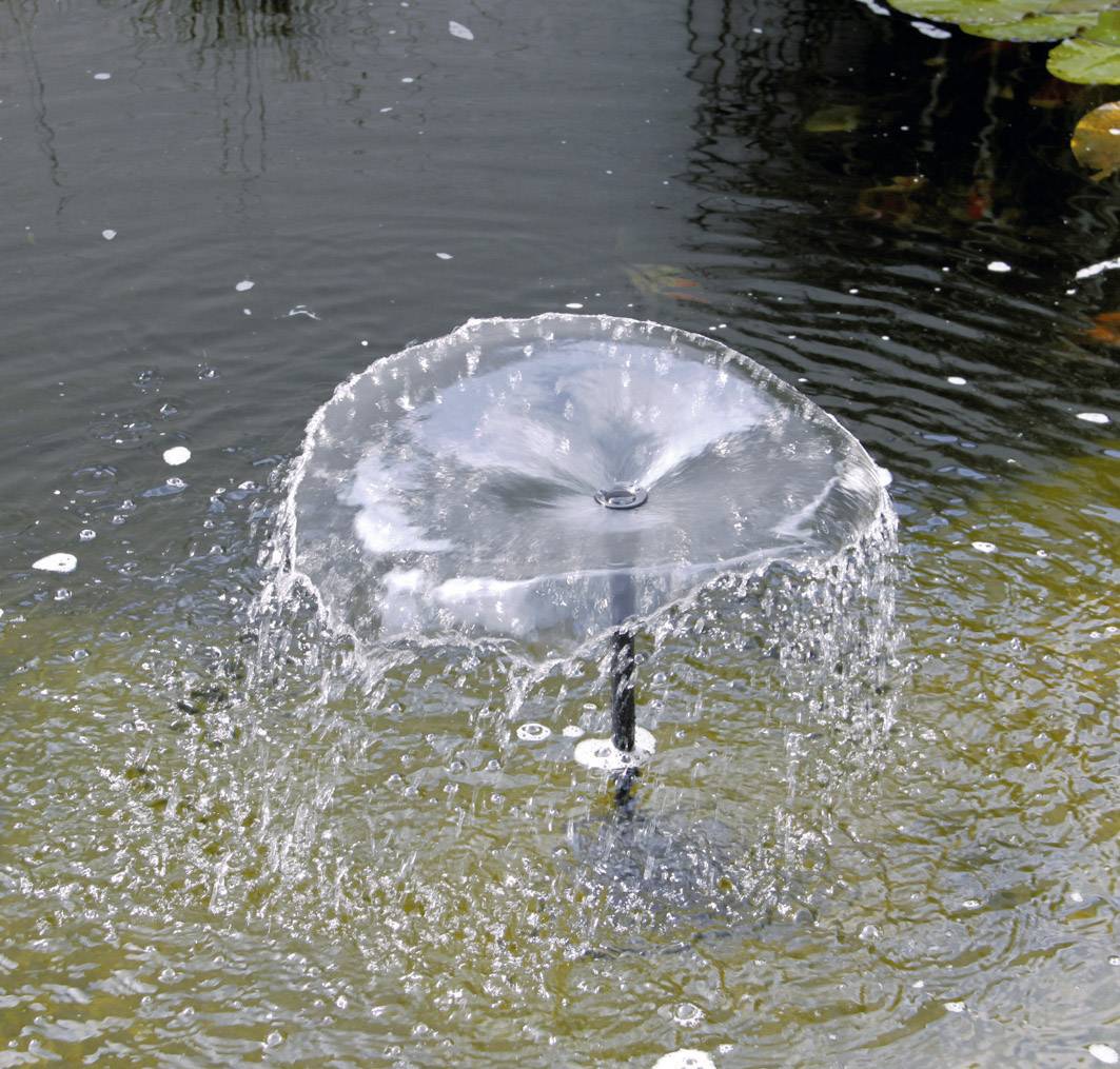 Jeu d'eau : Une petite fontaine dans l'étang projette de l'eau vers le haut en une forme de dôme.