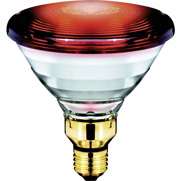 Philips LED Ampoule infrarouge E27 150 W (Ø x L) 121 mm x 136 mm 230 V 1 pc(s) Philips LED Ampoule infrarouge E27 150 W (Ø x L) 121 mm x 136 mm 230 V 1 pc(s)