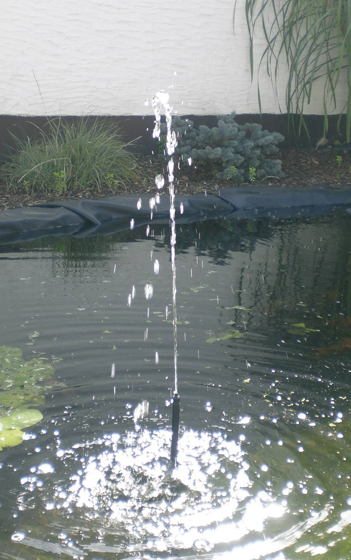 Fontaine dans un bassin de jardin, le jet d'eau jaillit en hauteur et crée des cercles à la surface de l'eau, entouré de plantes.