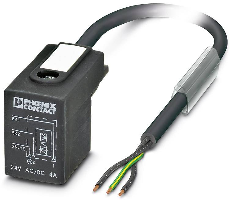 Un composant électrique noir avec connexion de câble, marqué '24V AC/DC 4A'. Il affiche des informations de schéma de circuit sur sa surface.