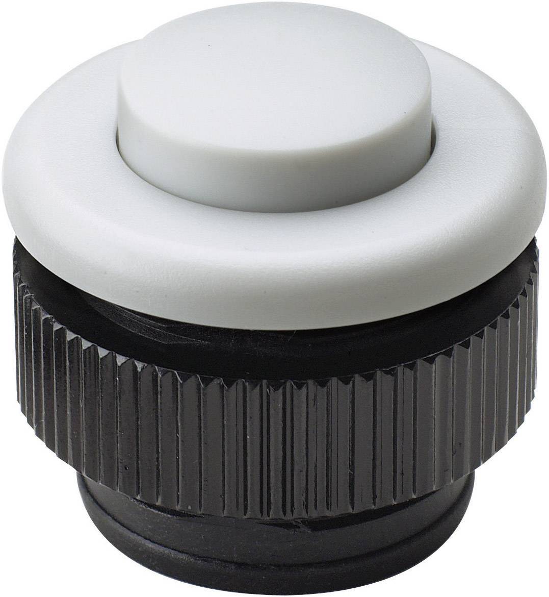 Bouton de sonnette simple Grothe 61032 blanc 12 V/1,5 A