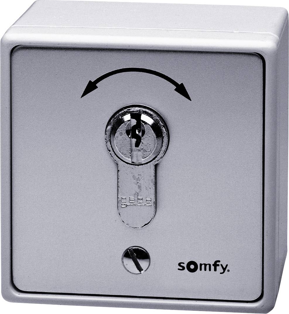 Somfy 1871148 Interrupteur à clé pour motorisation de portail encastré, montage apparent (en saillie)