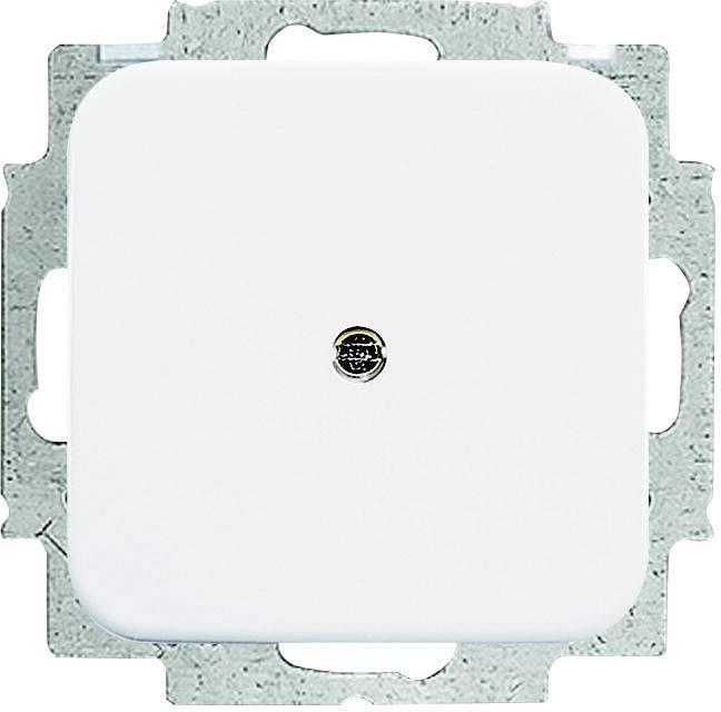 Cache Busch-Jaeger 2538-214 blanc-alpin