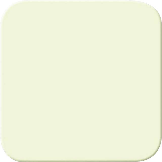 Cache Busch-Jaeger 2506-212 blanc crème