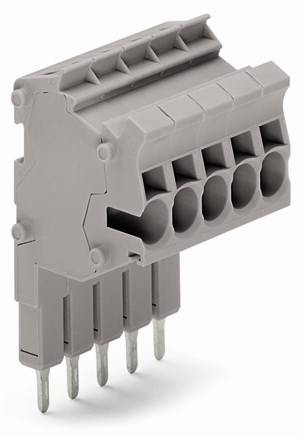 Connecteur de carte grise à cinq emplacements avec broches métalliques saillantes. Adapté aux applications électriques.