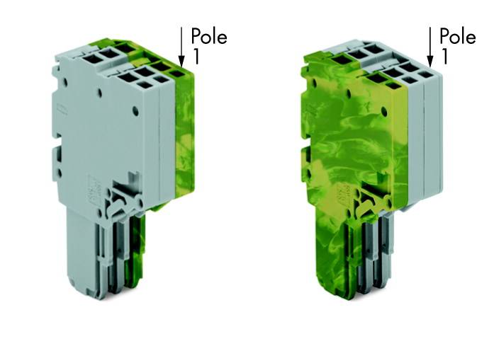 Deux connecteurs électriques verts et gris dans un design de bloc. L'étiquetage indique 'Pole 1' sur les deux fiches.