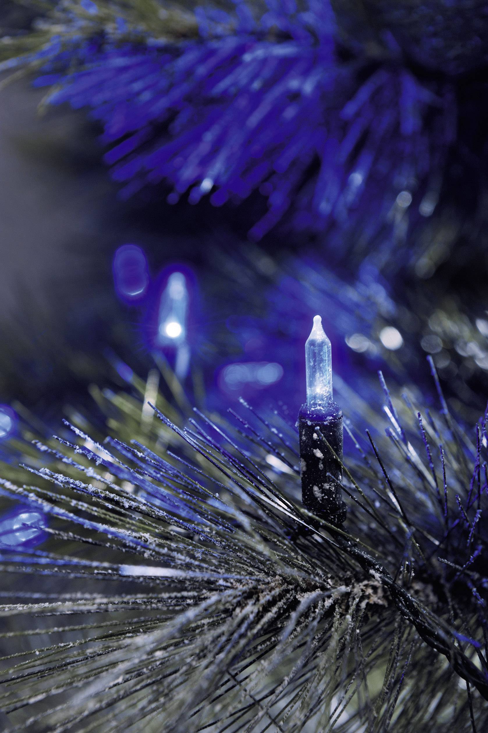 Konstsmide 6020-400 Mini guirlande lumineuse pour l'extérieur sur secteur Nombre de lumière 80 LED bleu Longueur éclairée: 11.85 m