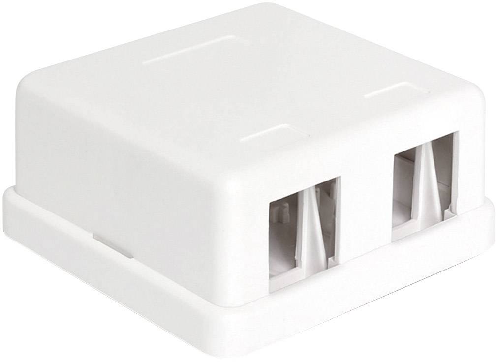 Un boîtier de raccordement réseau rectangulaire blanc avec deux ports pour connexions Ethernet, adapté à un montage mural.