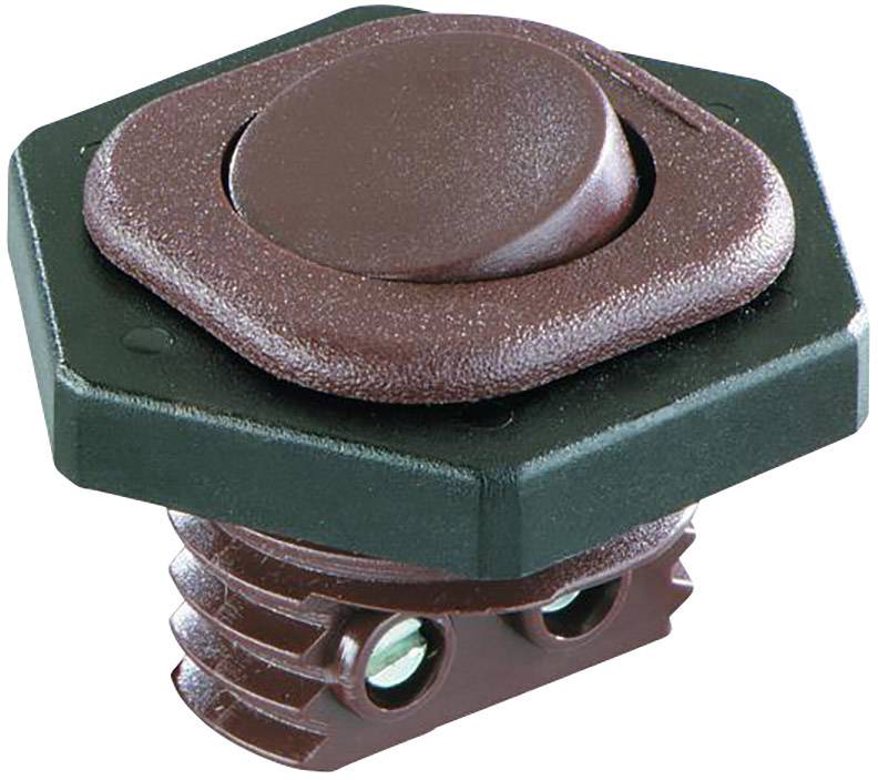 interBär 8014-001.01 Interrupteur à bascule 8014-001.01 250 V/AC 6 A 1 x Off/On à accrochage 1 pc(s)